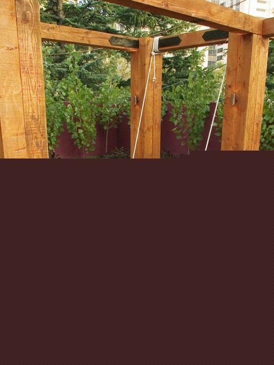 Hanging oversized hammock over pond